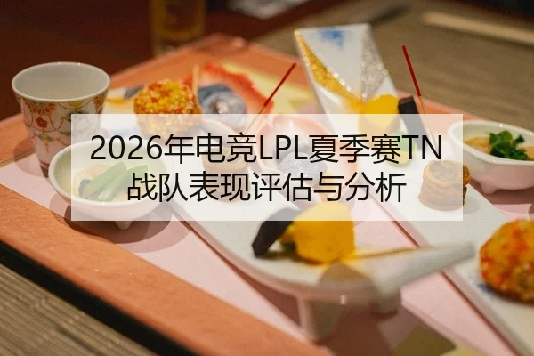 2026年电竞LPL夏季赛TN战队表现评估与分析