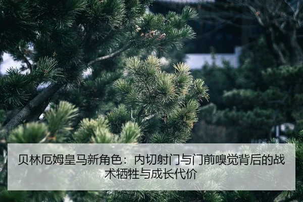 bei-lin-e-mu-huang-ma-xin-jue-se-nei-qie-she-men-yu-men-qian-xiu-jue-bei-hou-de-zhan-shu-xi-sheng-yu-cheng-zhang-dai-jia-2-967.jpg