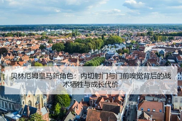 bei-lin-e-mu-huang-ma-xin-jue-se-nei-qie-she-men-yu-men-qian-xiu-jue-bei-hou-de-zhan-shu-xi-sheng-yu-cheng-zhang-dai-jia-3-171.jpg