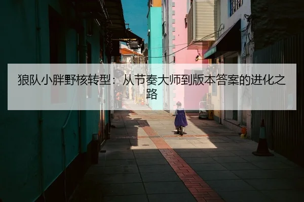 狼队小胖野核转型：从节奏大师到版本答案的进化之路