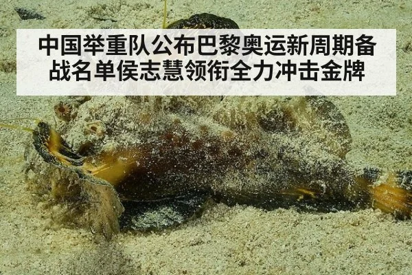 中国举重队公布巴黎奥运新周期备战名单侯志慧领衔全力冲击金牌